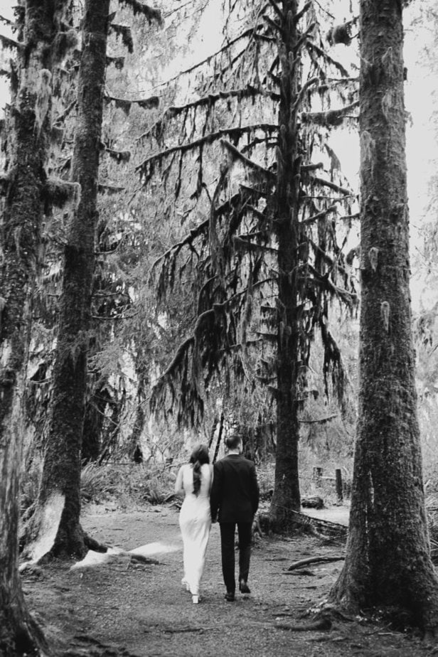 Elopement couple in the Hoh Rainforest, Olympic Park.