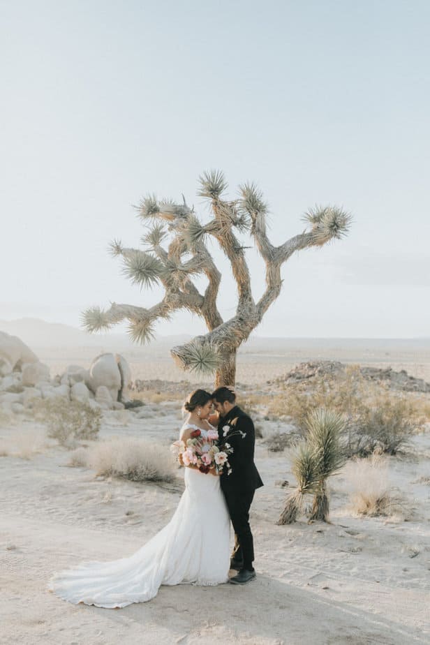 Bride and groom pose in front of a joshua tree in Palm Springs, California during their elopement.