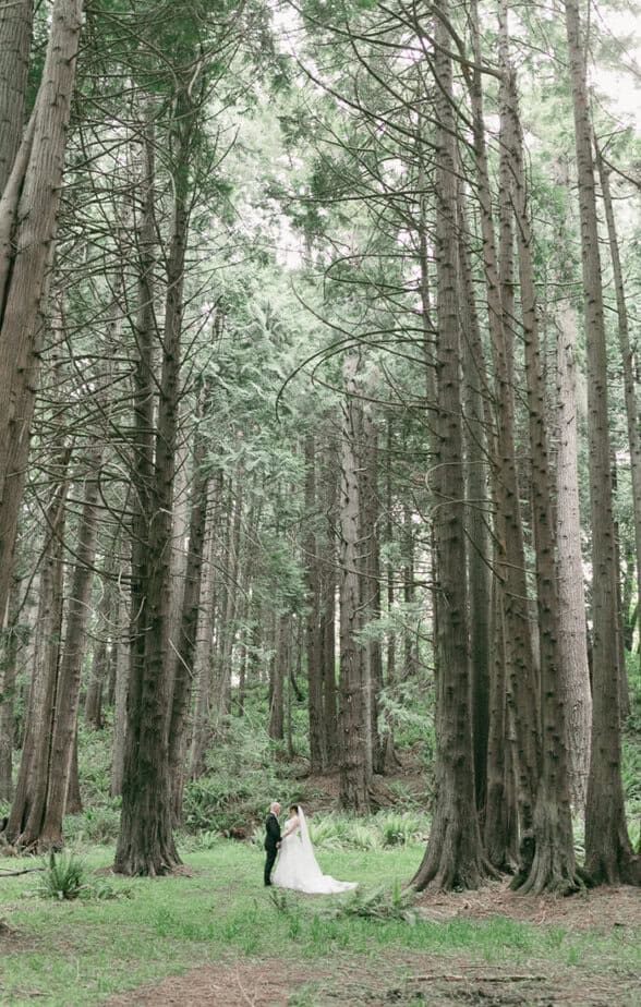 Bride and groom in the forest during their elopement in Port Angeles, Washington.