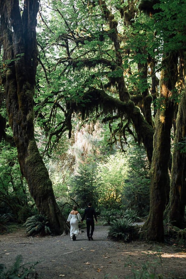 Bride and groom walk hand and hand in Hoh Rainforest.