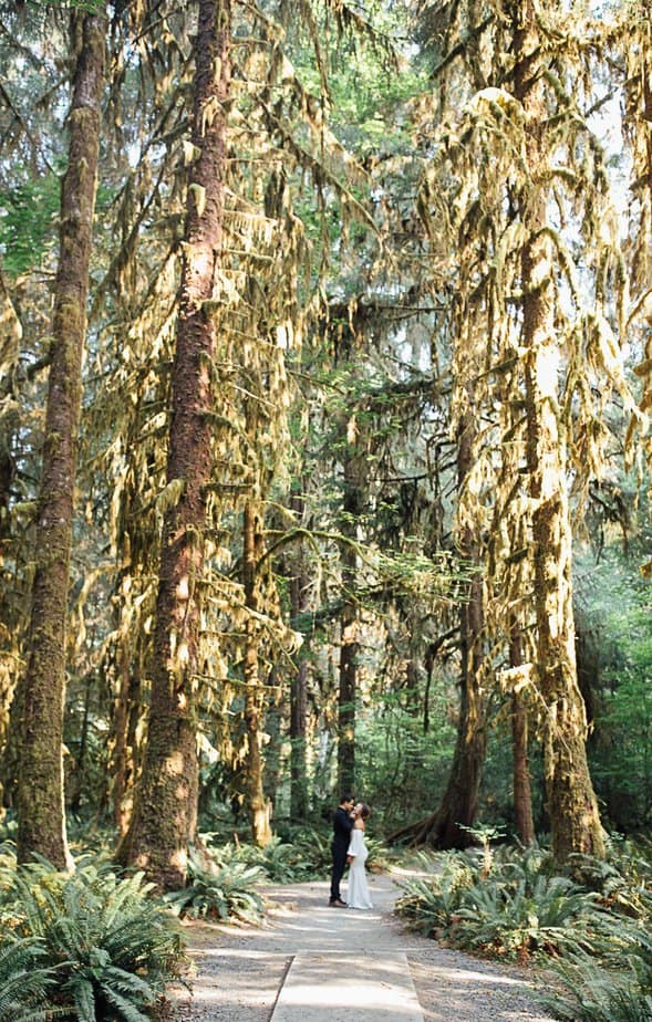 Bride and groom pose in front of old growth forest on trails in Hoh Rainforest in Forks, Washington.