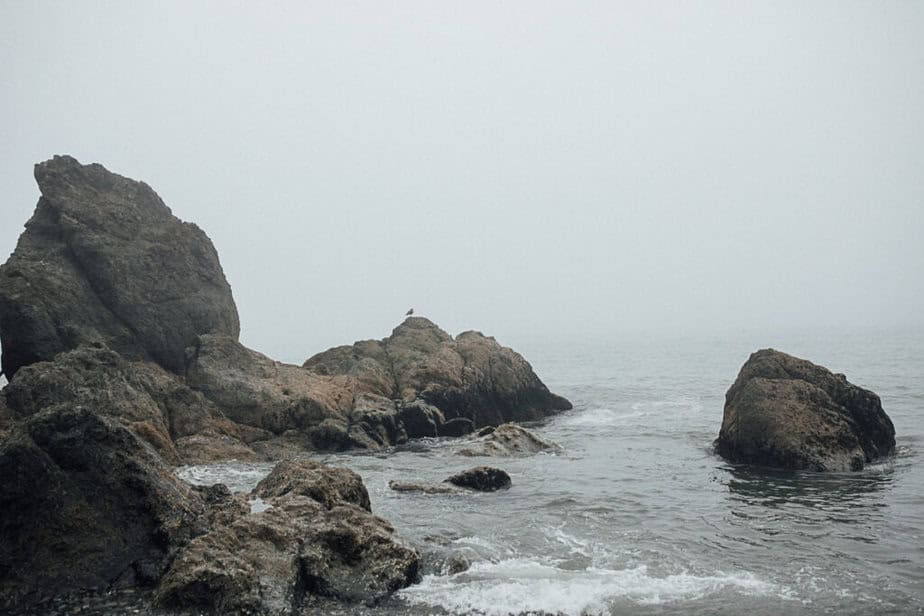 Lanscsape of Ruby Beach