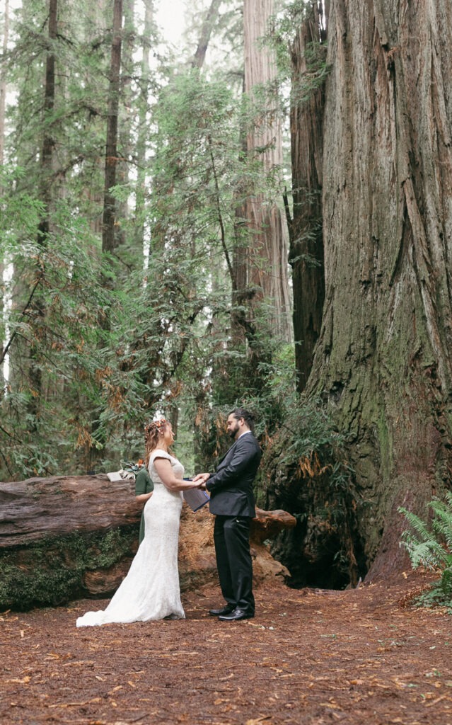 Elopement ceremony in the rain in the redwoods in Crescent City, California.