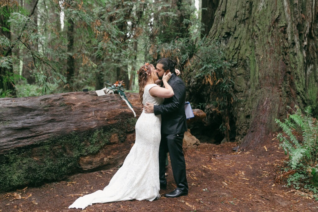 An elopement ceremony in Jedediah state park in Crescent City, California.