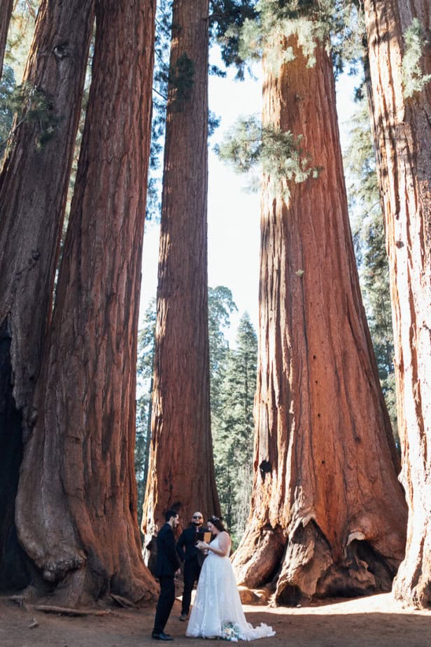 An eloping couple share their vows during a ceremony in Sequoia National Park.