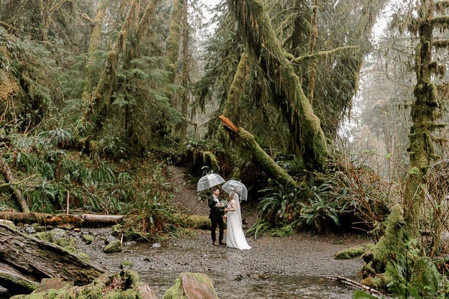 Bride and groom during a rainy elopement in Forks, Washington.