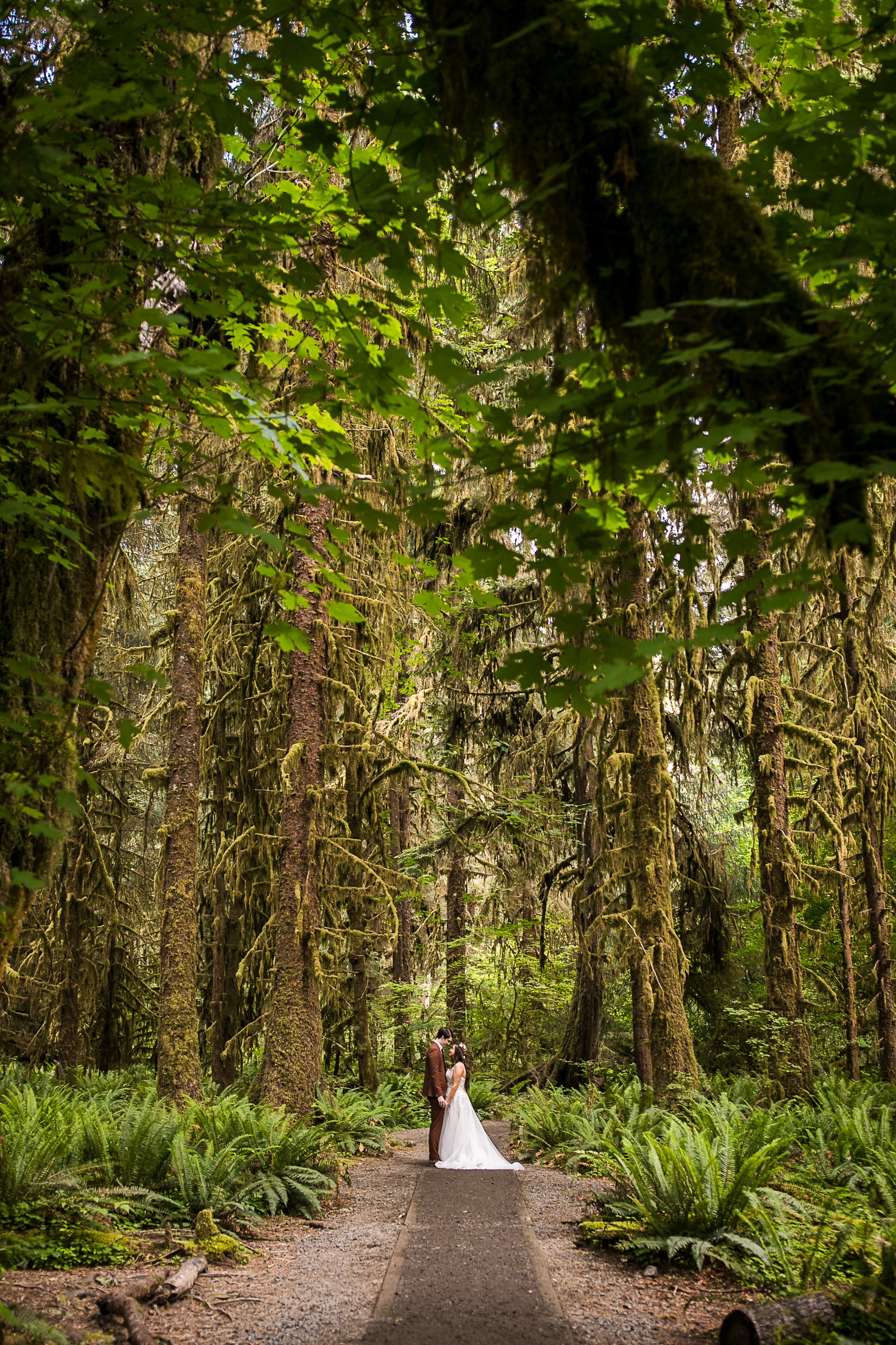 Bride and groom stand in the middle of a trail for portraits in Hoh Rainforest.